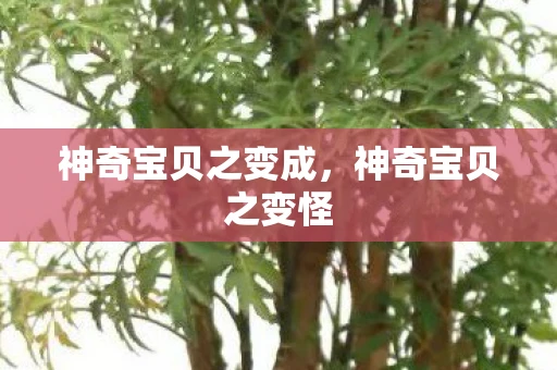 神奇宝贝之变成，神奇宝贝之变怪