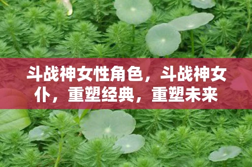 斗战神女性角色，斗战神女仆，重塑经典，重塑未来