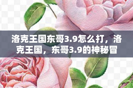 洛克王国东哥3.9怎么打，洛克王国，东哥3.9的神秘冒险