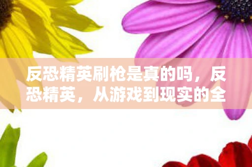 反恐精英刷枪是真的吗，反恐精英，从游戏到现实的全球反恐行动