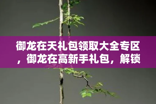 御龙在天礼包领取大全专区，御龙在高新手礼包，解锁你的冒险之旅