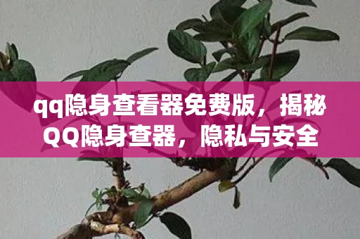 qq隐身查看器免费版，揭秘QQ隐身查器，隐私与安全的双刃剑
