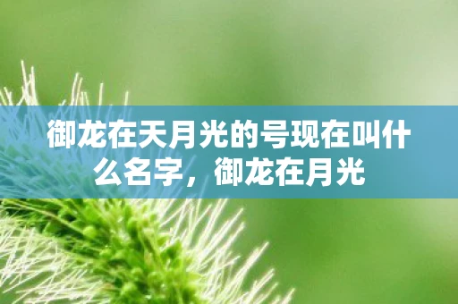 御龙在天月光的号现在叫什么名字，御龙在月光