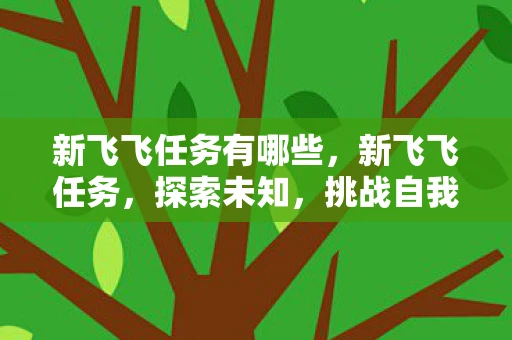 新飞飞任务有哪些，新飞飞任务，探索未知，挑战自我