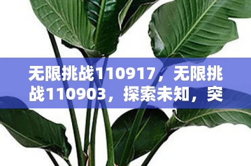 无限挑战110917，无限挑战110903，探索未知，突破自我