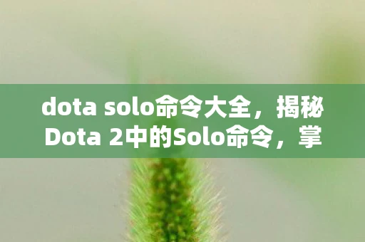 dota solo命令大全，揭秘Dota 2中的Solo命令，掌握这些，你就是下一个高手！