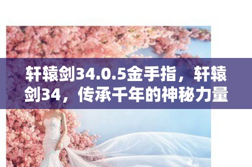 轩辕剑34.0.5金手指，轩辕剑34，传承千年的神秘力量