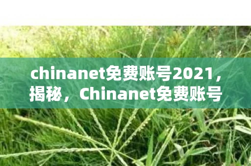 chinanet免费账号2021，揭秘，Chinanet免费账号背后的真相
