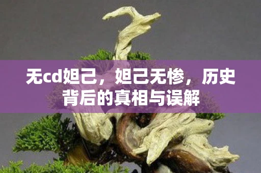 无cd妲己，妲己无惨，历史背后的真相与误解