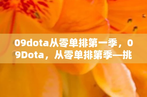 09dota从零单排第一季，09Dota，从零单排第季—挑战与成长并行的旅程