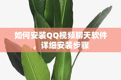 如何安装QQ视频聊天软件图片