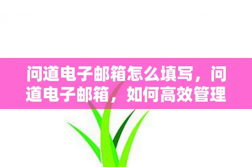 问道电子邮箱怎么填写，问道电子邮箱，如何高效管理你的数字生活