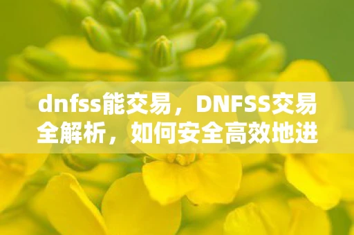 dnfss能交易，DNFSS交易全解析，如何安全高效地进行装备交易
