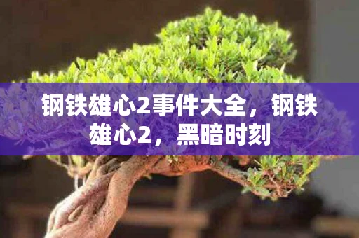 钢铁雄心2事件大全，钢铁雄心2，黑暗时刻