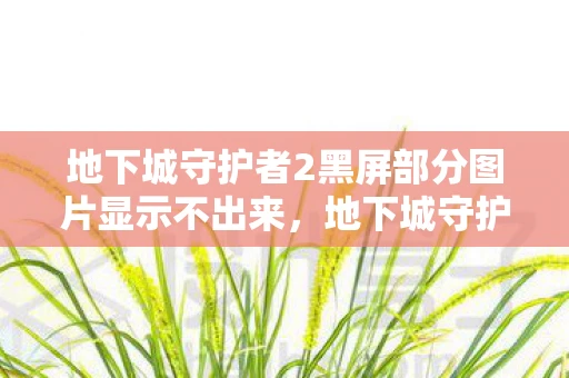 地下城守护者2黑屏部分图片显示不出来，地下城守护者2黑屏问题解决方案