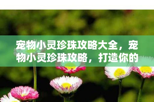 宠物小灵珍珠攻略大全，宠物小灵珍珠攻略，打造你的专属萌宠王国