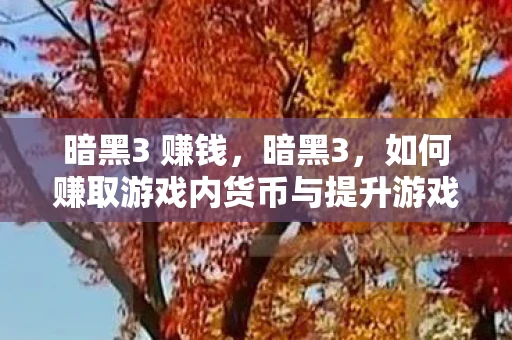 暗黑3 赚钱，暗黑3，如何赚取游戏内货币与提升游戏体验