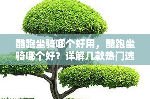 酷跑坐骑哪个好用，酷跑坐骑哪个好？详解几款热门选择