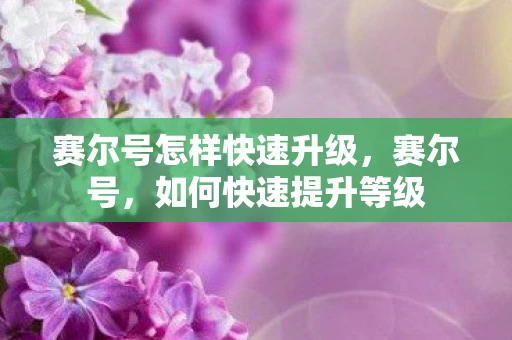 赛尔号怎样快速升级，赛尔号，如何快速提升等级