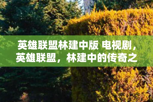 英雄联盟林建中版 电视剧，英雄联盟，林建中的传奇之路