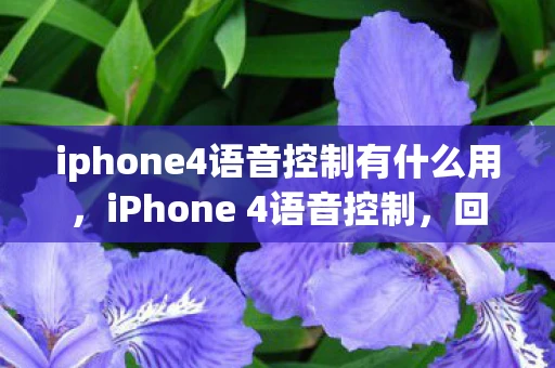 iphone4语音控制有什么用，iPhone 4语音控制，回顾与影响