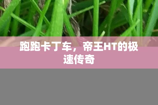 帝王HT的极速传奇图片
