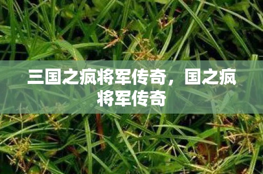 三国之疯将军传奇，国之疯将军传奇