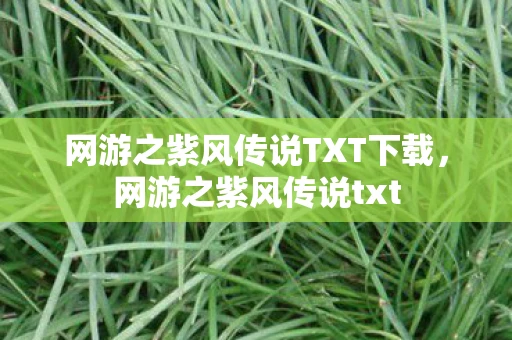 网游之紫风传说TXT下载，网游之紫风传说txt