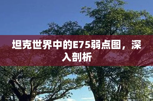坦克世界中的E75弱点图图片