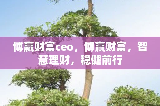 博赢财富ceo，博赢财富，智慧理财，稳健前行