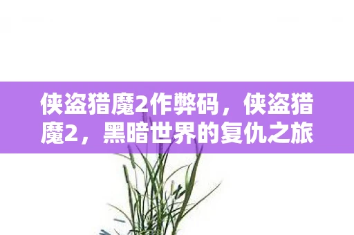 侠盗猎魔2作弊码，侠盗猎魔2，黑暗世界的复仇之旅