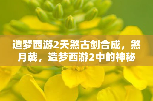 造梦西游2天煞古剑合成，煞月戟，造梦西游2中的神秘神兵