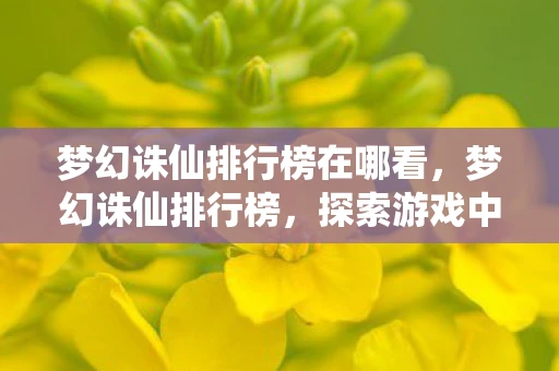 梦幻诛仙排行榜在哪看，梦幻诛仙排行榜，探索游戏中的荣耀与成就