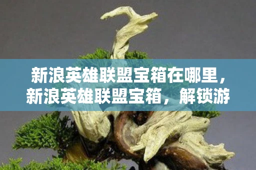 新浪英雄联盟宝箱在哪里，新浪英雄联盟宝箱，解锁游戏内外的惊喜