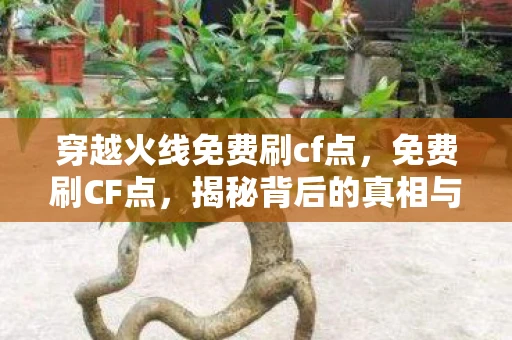 穿越火线免费刷cf点，免费刷CF点，揭秘背后的真相与风险