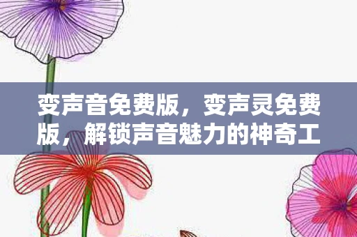 变声音免费版，变声灵免费版，解锁声音魅力的神奇工具