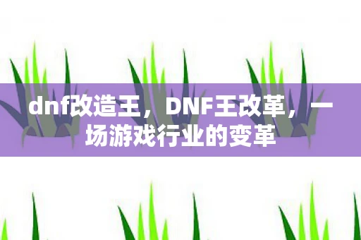 dnf改造王，DNF王改革，一场游戏行业的变革