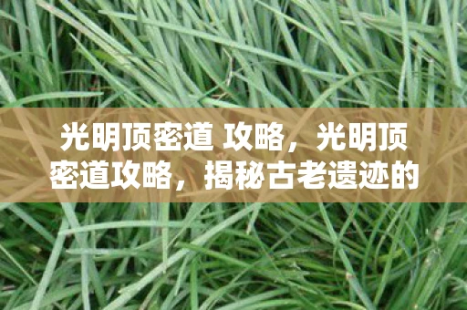 光明顶密道 攻略，光明顶密道攻略，揭秘古老遗迹的神秘之旅