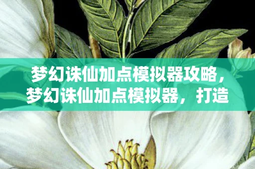 梦幻诛仙加点模拟器攻略，梦幻诛仙加点模拟器，打造你的专属角色