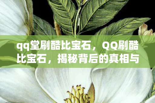 qq堂刷酷比宝石，QQ刷酷比宝石，揭秘背后的真相与风险
