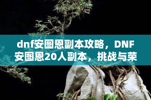 dnf安图恩副本攻略，DNF安图恩20人副本，挑战与荣耀的终极舞台
