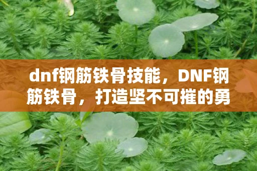 dnf钢筋铁骨技能，DNF钢筋铁骨，打造坚不可摧的勇士