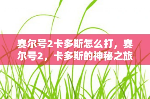 赛尔号2卡多斯怎么打，赛尔号2，卡多斯的神秘之旅