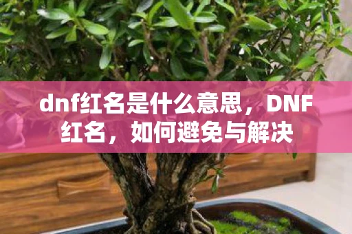 dnf红名是什么意思，DNF红名，如何避免与解决