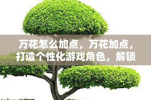 万花怎么加点，万花加点，打造个性化游戏角色，解锁独特战斗体验