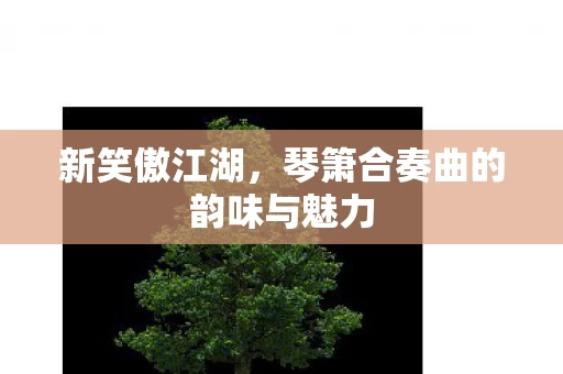 琴箫合奏曲的韵味与魅力图片