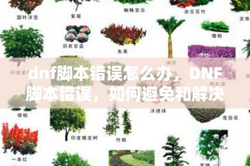 dnf脚本错误怎么办，DNF脚本错误，如何避免和解决游戏中的常见问题