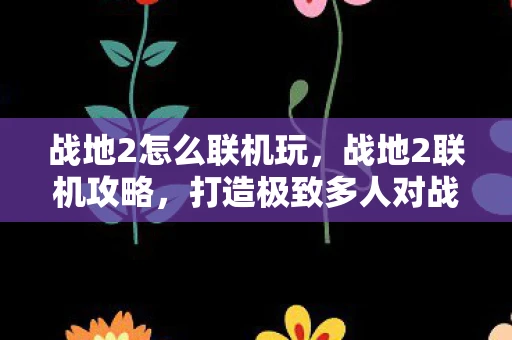 战地2怎么联机玩，战地2联机攻略，打造极致多人对战体验