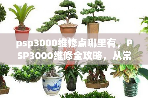 psp3000维修点哪里有，PSP3000维修全攻略，从常见问题到解决方案