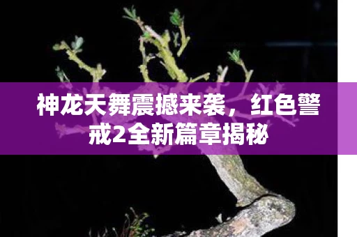 红色警戒2全新篇章揭秘图片